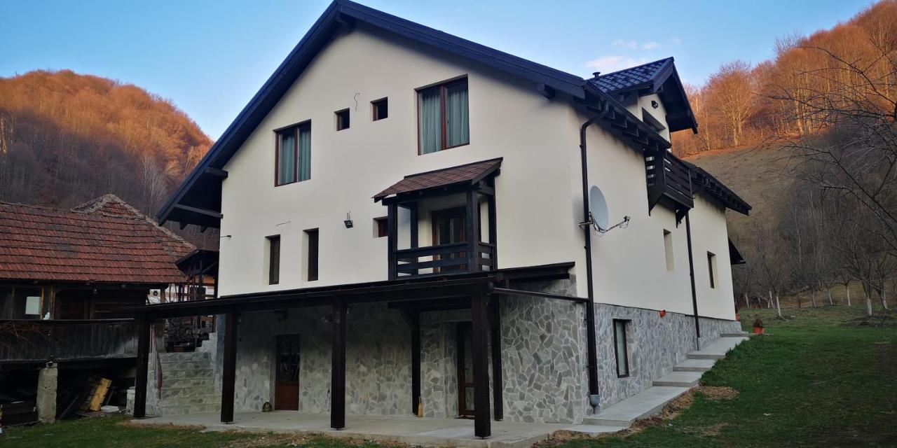 Casa De Vacanta Edya Petrosani Exterior photo