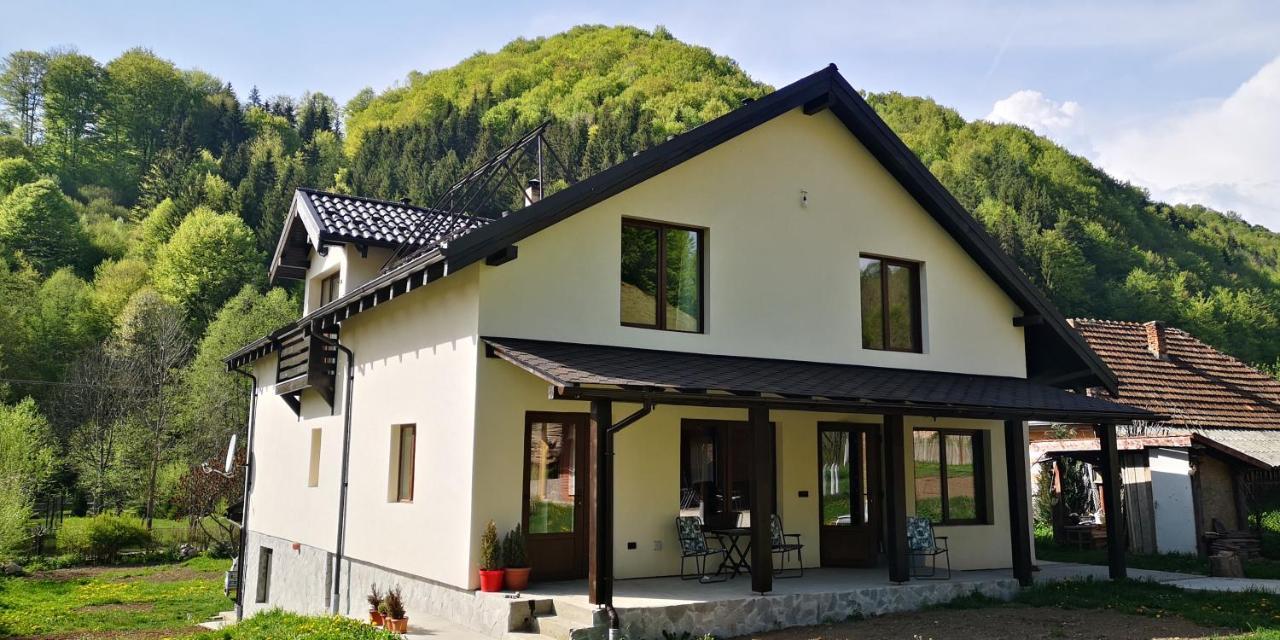 Casa De Vacanta Edya Petrosani Exterior photo