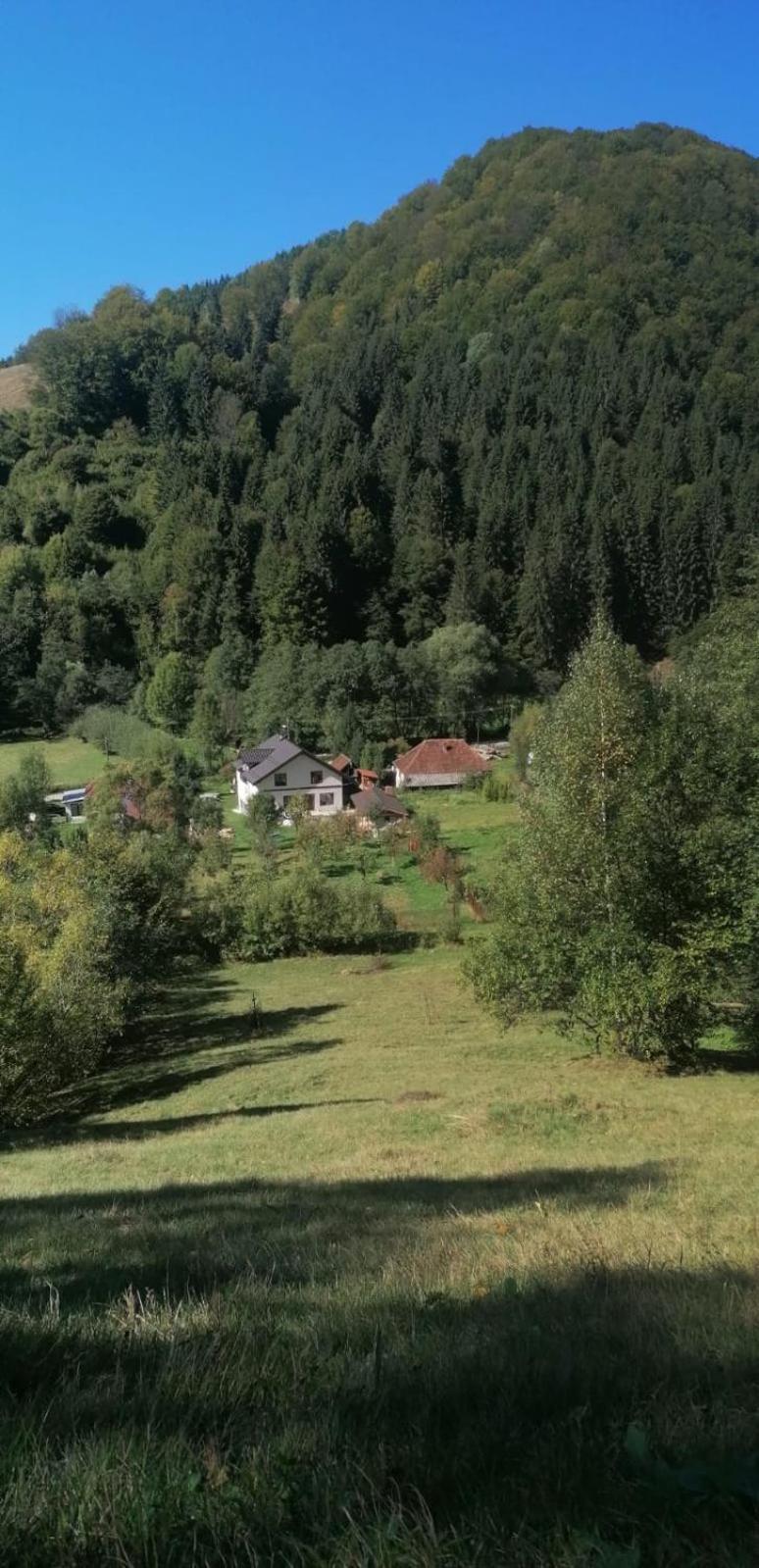 Casa De Vacanta Edya Petrosani Exterior photo