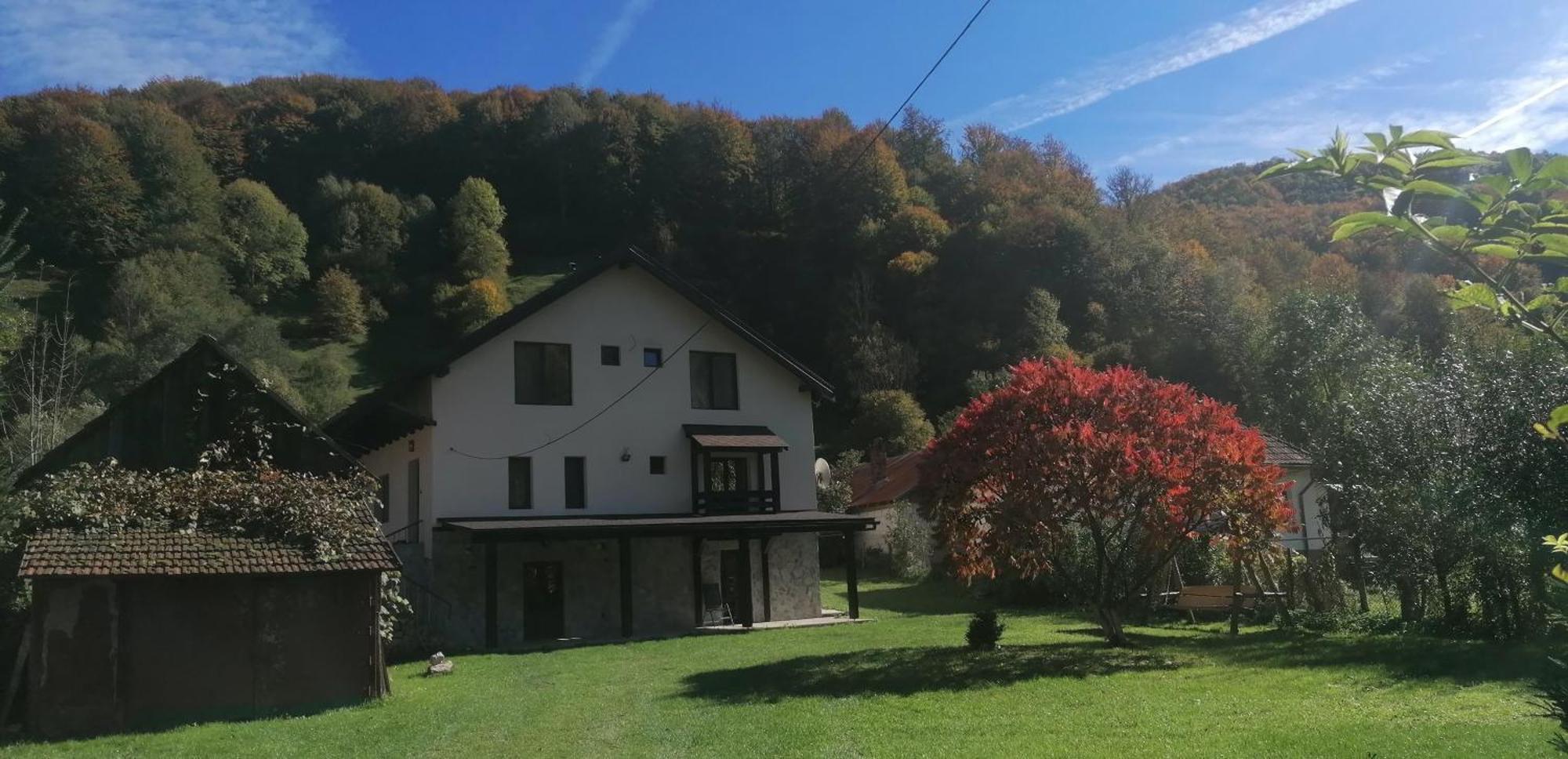 Casa De Vacanta Edya Petrosani Exterior photo